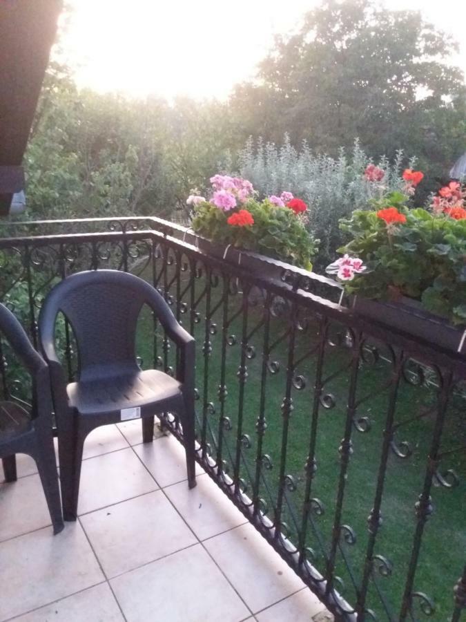Ulica Ante Starcevica 113 Appartement Okucani Buitenkant foto